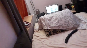 SkyJt2351979  12-10-2021 Recorded Video Show